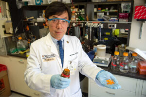 The race to treat a rare, fatal syndrome may help others with common disorders like diabetes