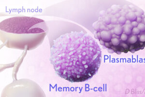 mRNA Vaccines May Pack More Persistent Punch Against COVID-19 Than Thought
