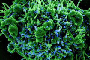 Immune modulator drugs improved survival for people hospitalized with COVID-19