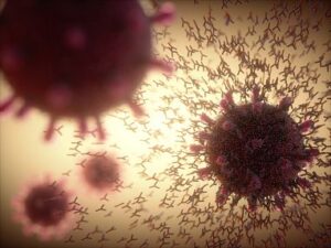 Antibodies are the immune system’s first line of defense against viruses like SARS-CoV-2.