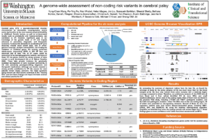 12. A Genome-wide Assessment of Non-coding Risk Variants in Cerebral Palsy