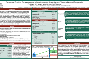41. Parent and Provider Perspectives on a Developmental Screening and Therapy Referral Program for Children 0-3 years with Sickle Cell Disease