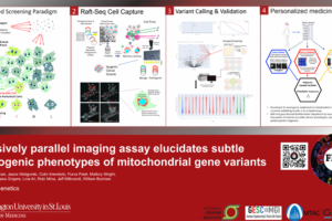 1. Massively Parallel Imaging Assay Elucidates Subtle Pathogenic Phenotypes of Mitochondrial Gene Variants