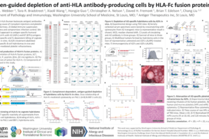 5. Antigen-guided Depletion of Anti-HLA Antibody-producing Cells by HLA-Fc Fusion Proteins