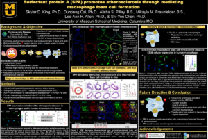 1. Surfactant Protein A Promotes Atherosclerosis through Mediating Macrophage Foam Cell Formation