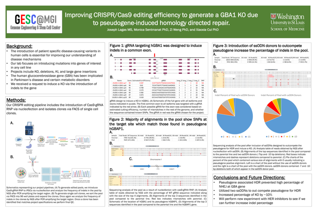 Improving CRISPR/Cas9 Editing Efficiency to Generate a GBA1 KO due to Pseudogene-induced Homology Directed Repair