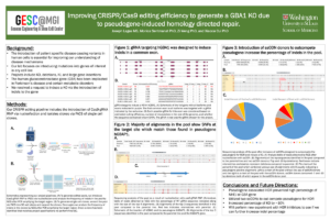 2. Improving CRISPR/Cas9 Editing Efficiency to Generate a GBA1 KO due to Pseudogene-induced Homology Directed Repair