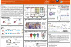 3. Epigenetic Therapy Activates TE-chimeric Transcripts to Provide an Additional Source of Glioblastoma HLA-I Antigens