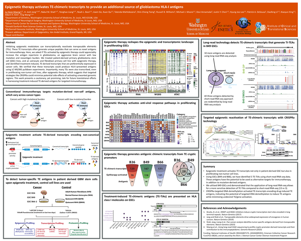 3. Epigenetic Therapy Activates TE-chimeric Transcripts to Provide an ...